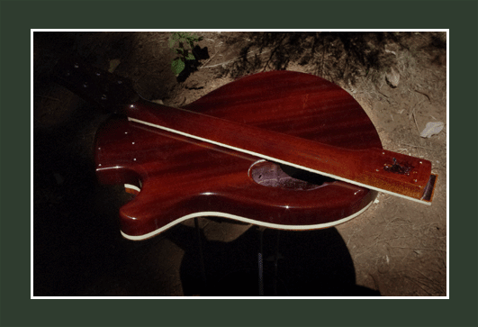 Custom Les Paul Body Back Les Paul back