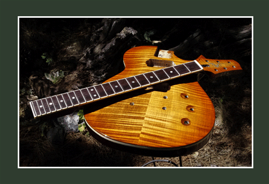 Les Paul Reed Smith Les Paul Reed Smith