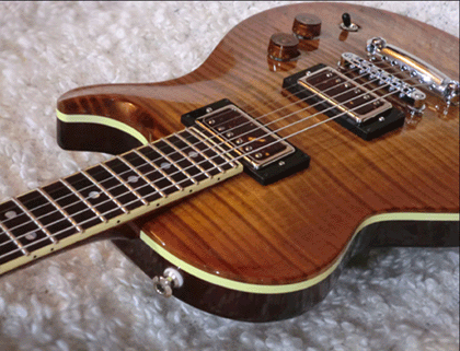 LesPaul Reed Smith Guitar